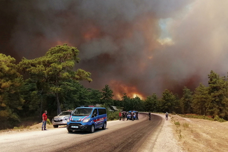 В Турции локализованы 88 из 98 лестных пожаров
