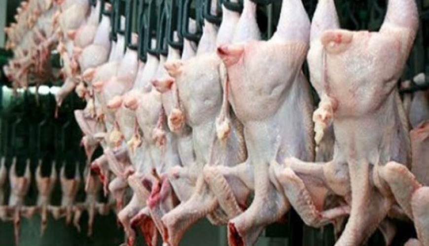Sabahdan Türkiyədən toyuq məhsullarının ixracı dayandırılacaq - SƏBƏB