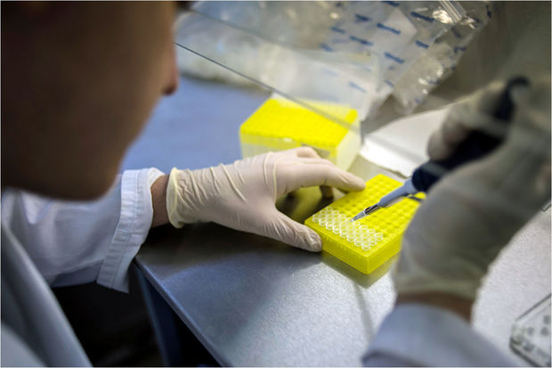 Ученые создали новый биопрепарат для иммунотерапии рака