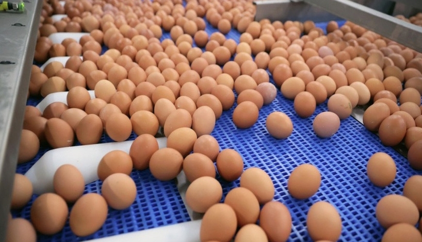 Beş ayda Rusiyaya 400 milyon yumurta idxal olunub

