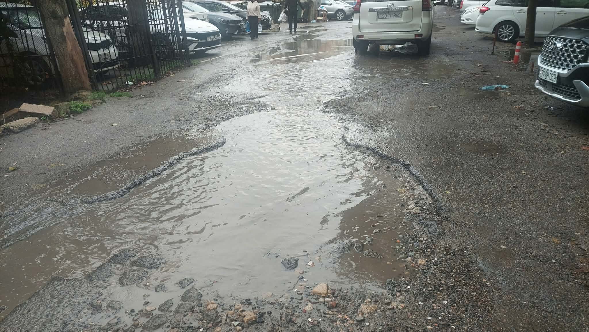 1314c45c-38e7-41b7-af87-c5150d6d7a1a.jpg (247 KB)