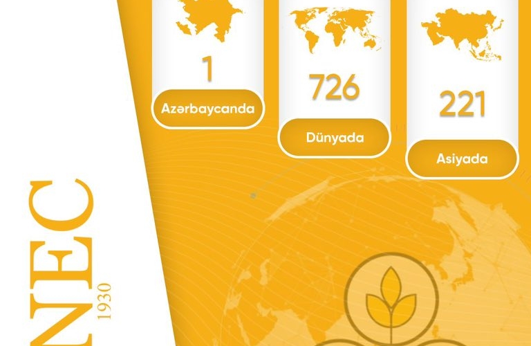 UNEC QS Dayanıqlılıq 2026 reytinqində ölkədə birincidir