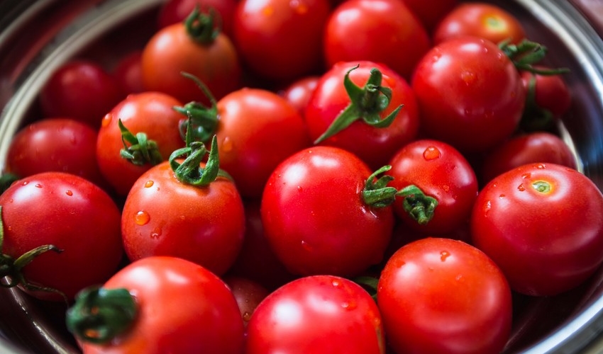 “Pomidor müharibəsi” bitdi