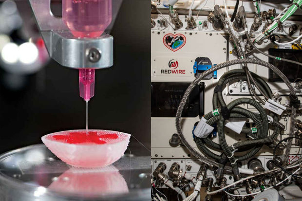 Впервые в космосе на 3D-принтере напечатали часть человеческого тела