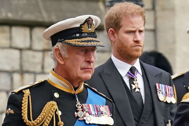 Times: Принц Гарри готов временно исполнять королевские обязанности из-за болезни отца