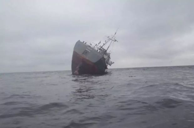 Qurban bayramı üçün göndərilən 16 min qoyunu daşıyan gəmi batdı