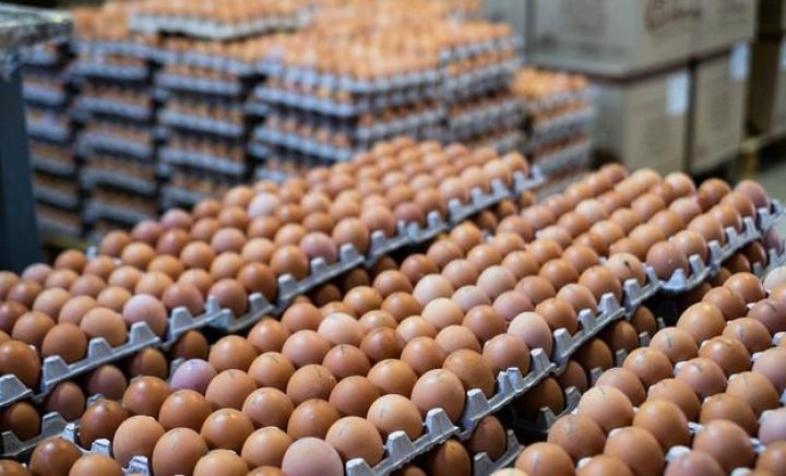 Rusiyada yumurta istehsalı azalmaqda davam edir