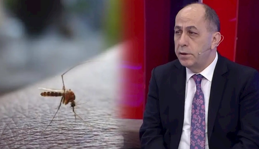 Buna görə Bakıda bu il ağcaqanad çoxdur — Adil Qeybulla