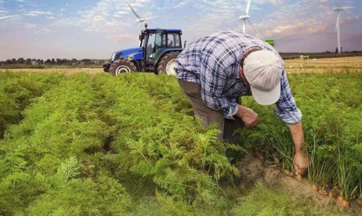 Aqrar sektorda tempi qaldırmaq çağırışı - iqtisadçı deyir ki...