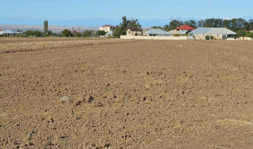 Cəlilabadda pay torpağı üstündə dava olub, xəsarət alanlar var