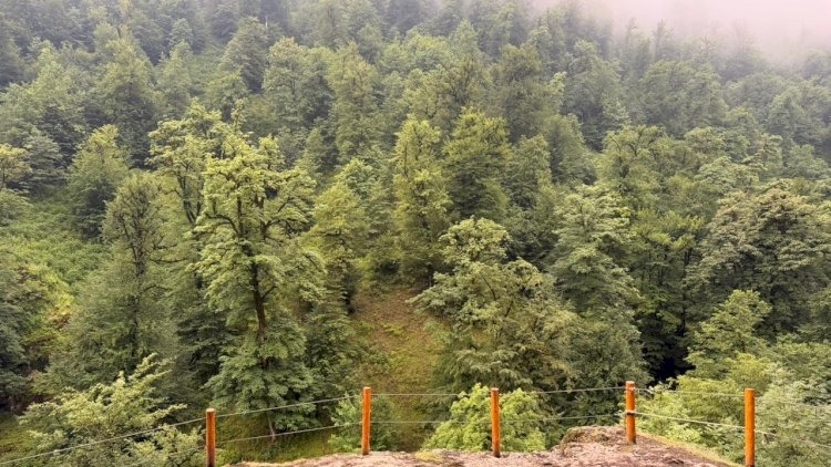Azərbaycanda gizli cənnət varmış – 74 bulaq, 4 şəlalə və nağ
