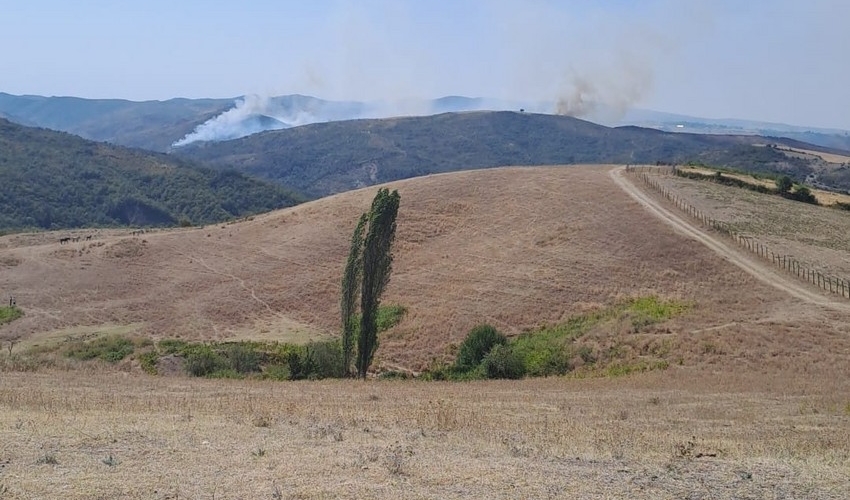 İsmayıllıda dağlıq ərazidə meşə yanır