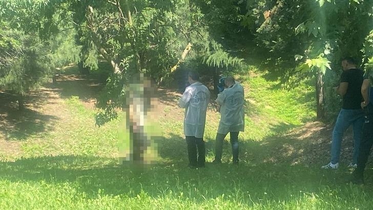 Ayaqqabı bağı ilə şübhəli ölüm - Ağacdan asılmış kişi meyiti TAPILDI