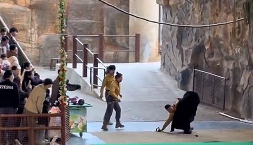 Ayı zoopark işçisinə hücum etdi - VİDEO