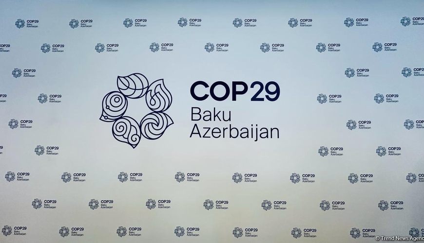 COP29.az vebsaytı istifadəyə verilib
