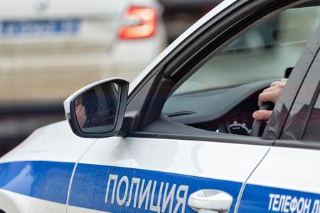Полицейские отбили у насильника пожилую россиянку