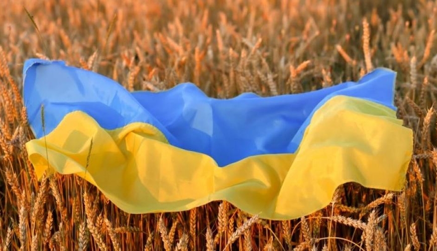 Ukrayna taxılı üçün dəhliz - Rusiya Türkiyənin təşəbbüsünü dəstəkləyir