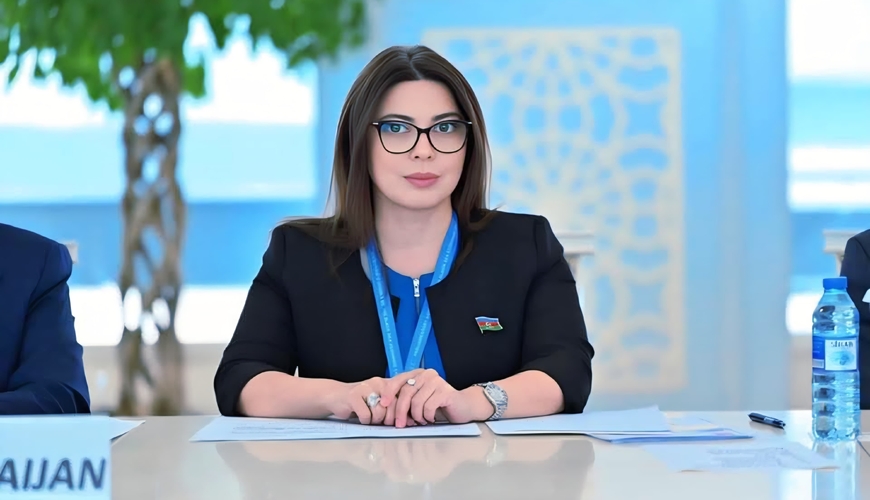 “Bu cür yanaşma Avropa Parlamentinin özünü gülünc vəziyyətə salmasından başqa bir məna daşımır”