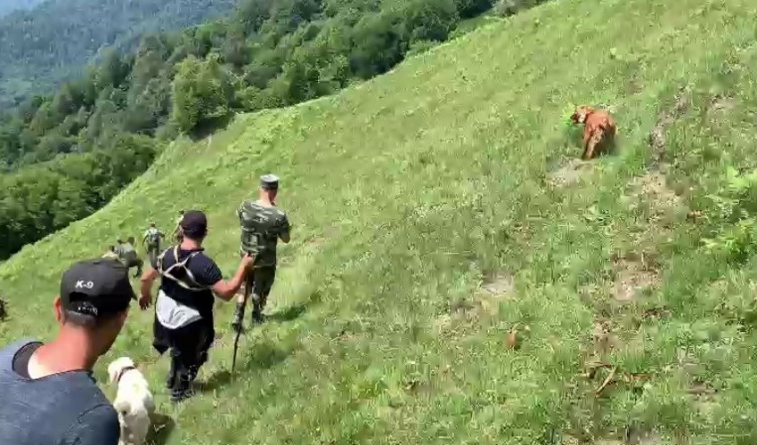 Zaqatalada itkin düşən Hindistan vətəndaşının axtarışına təlim keçmiş itlər cəlb olundu - FOTO/VİDEO