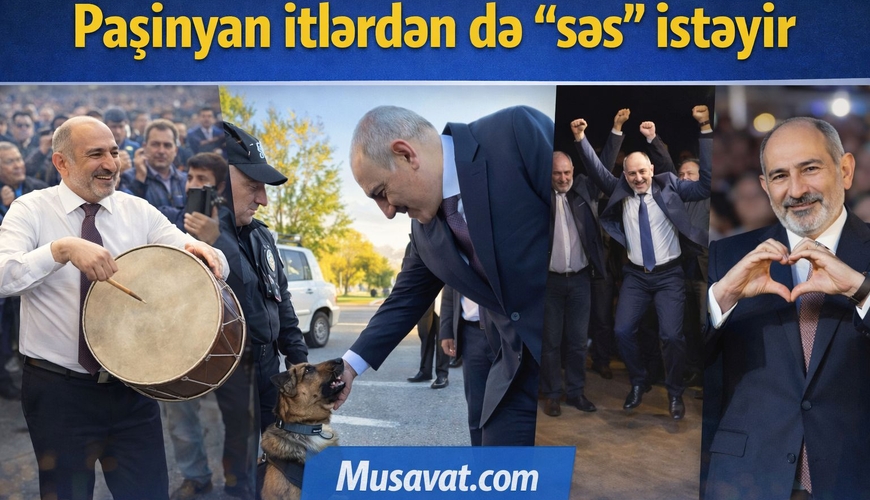 Paşinyan itlərdən də səs istəyir: Baş nazir seçki öncəsi hər cür şoudan istifadə edir - VİDEO