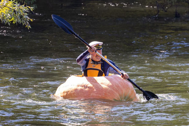 Австралиец проплыл по реке на гигантской тыкве - ВИДЕО