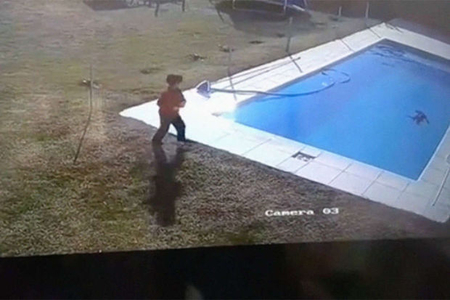 Пятилетний мальчик спас тонущего в бассейне щенка - ВИДЕО
