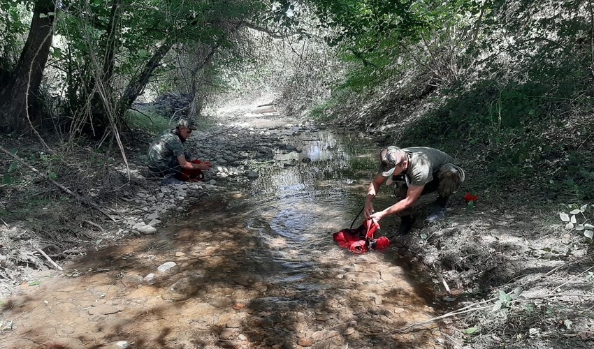 “Qalaaltı” yaxınlığındakı meşə yanğınları söndürülüb - FOTO