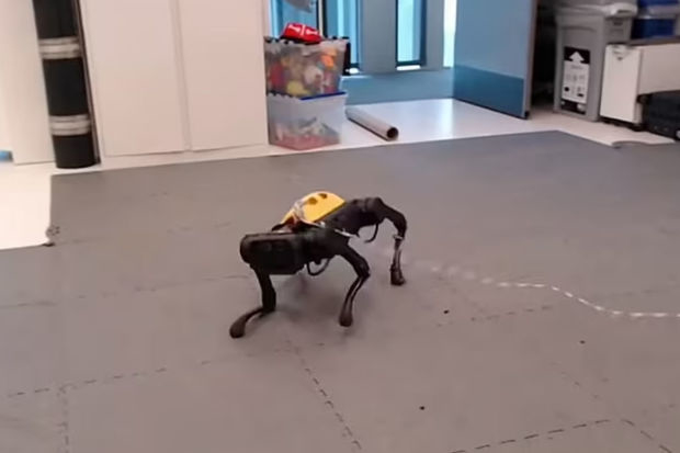 Нейросеть научила робота ходить за один час