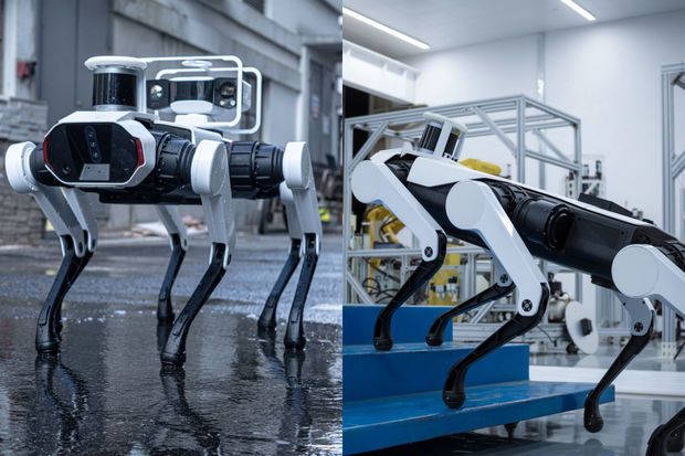 Lenovo представила робота-собаку с шестью лапами - ФОТО