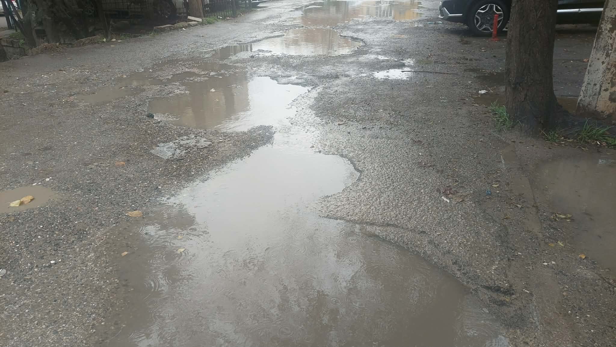 d378db8b-e72b-44dc-a7de-09a601f86bee.jpg (198 KB)