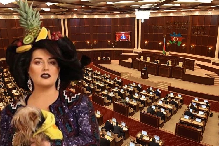 Elza Seyidcahan deputat olmaq istəyir - VİDEO