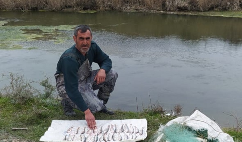 Neftçalada qanunsuz balıq ovu ilə məşğul olan şəxs saxlanılıb