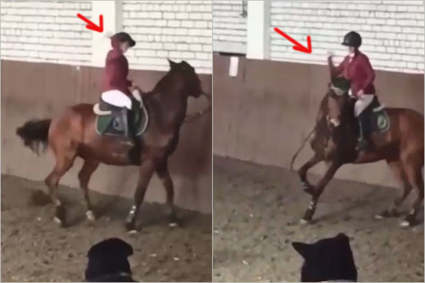 Российскую спортсменку дисквалифицировали на два года за избиение лошади - ФОТО,ВИДЕО