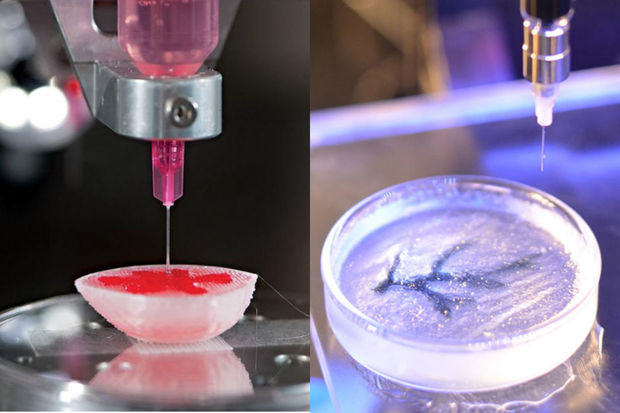 Создан метод 3D-печати кровеносных сосудов с помощью льда
