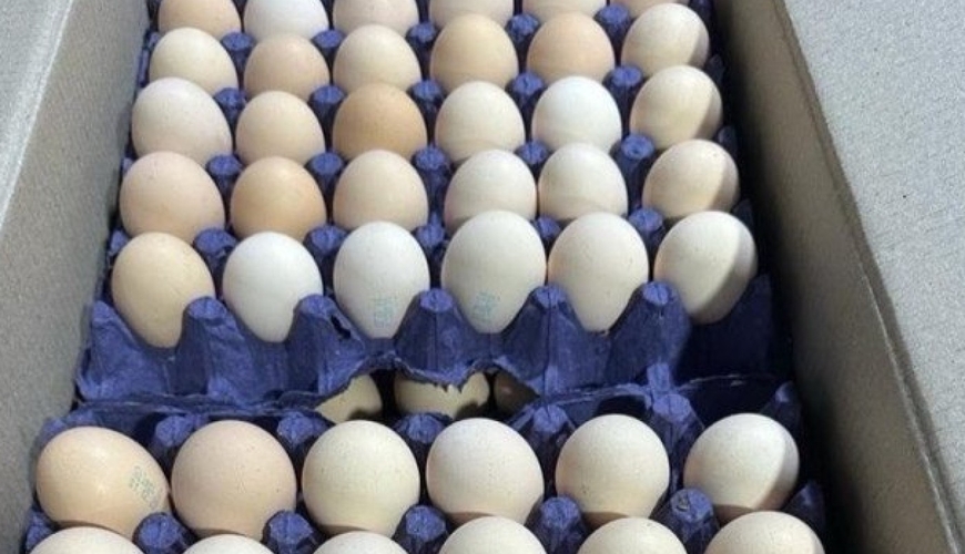 Qazaxıstan ölkəyə ərzaqlıq yumurta idxalını qadağan edir
