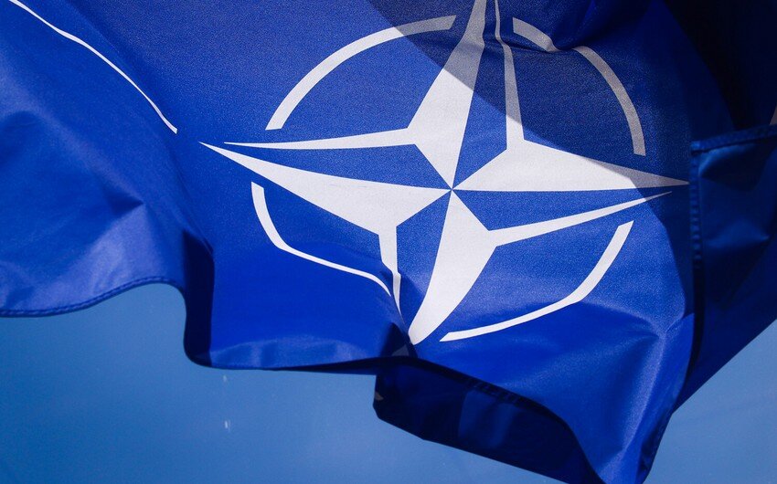 NATO SON.jpg (101 KB)