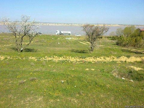 Torpağa görə əmisi oğlunu bıçaqladı - təfərrüat