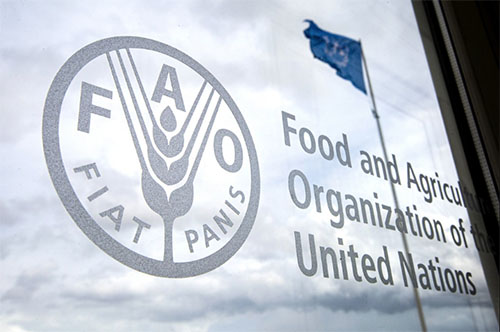 FAO-logo_window.jpg (57 KB)